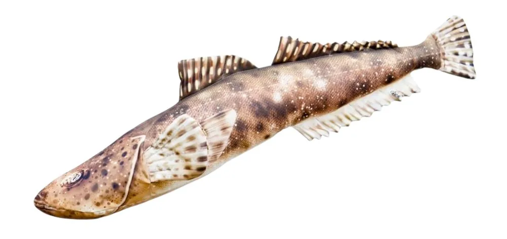 Gaby Polštář Ploskohlavec tmavý 102cm