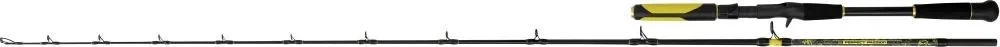 Black Cat Prut Perfect Passion Allstar Cast 2,2m 30-130g 1+1-díl