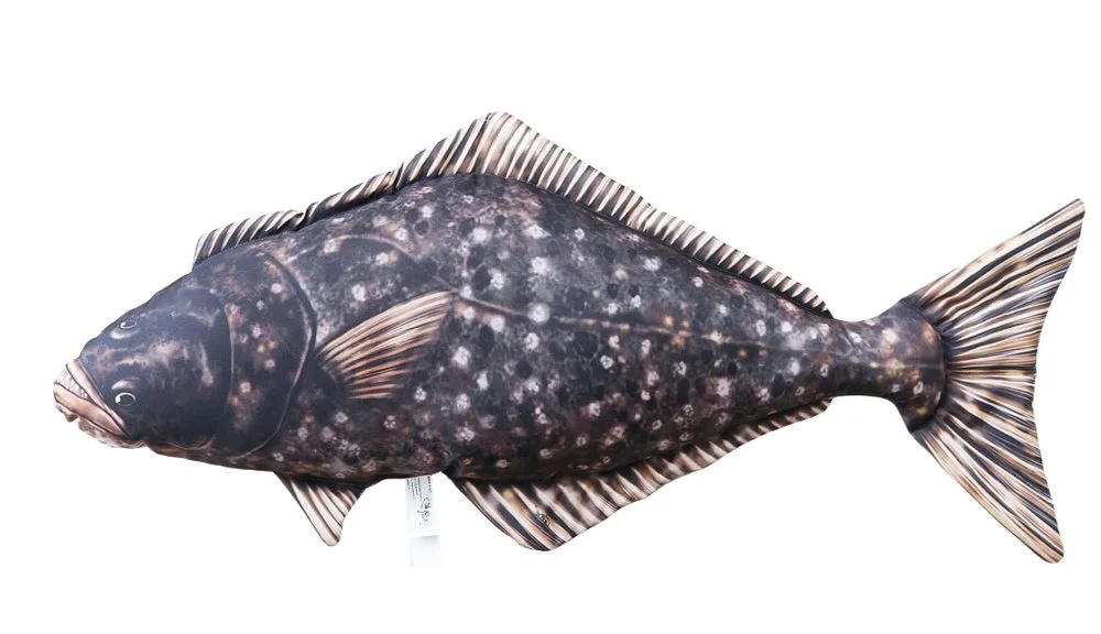 Gaby Polštář Halibut 72cm