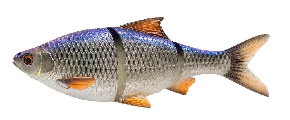 Savage gear gumová nástraha 3d line thru roach slow sinking blue roach - 32 cm 420 g