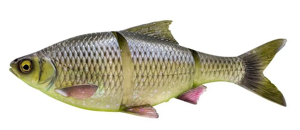 Savage gear gumová nástraha 3d line thru roach sinking hugo - 25 cm 216 g