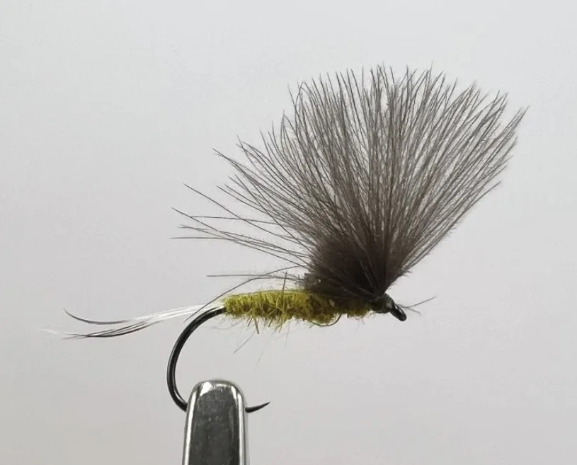 AzFishing AZ-Fishing Suchá Muška Jepice Olivka Velikost háčku: #16