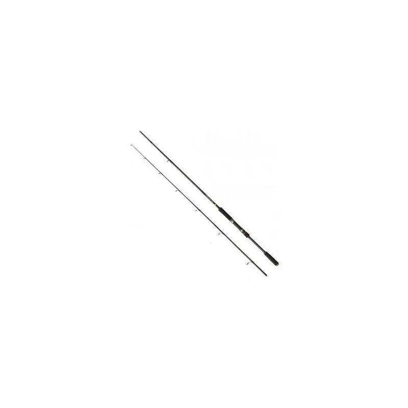 Albastar Prut Spining Heavy Spin 2,2m 80-120g 2-díl