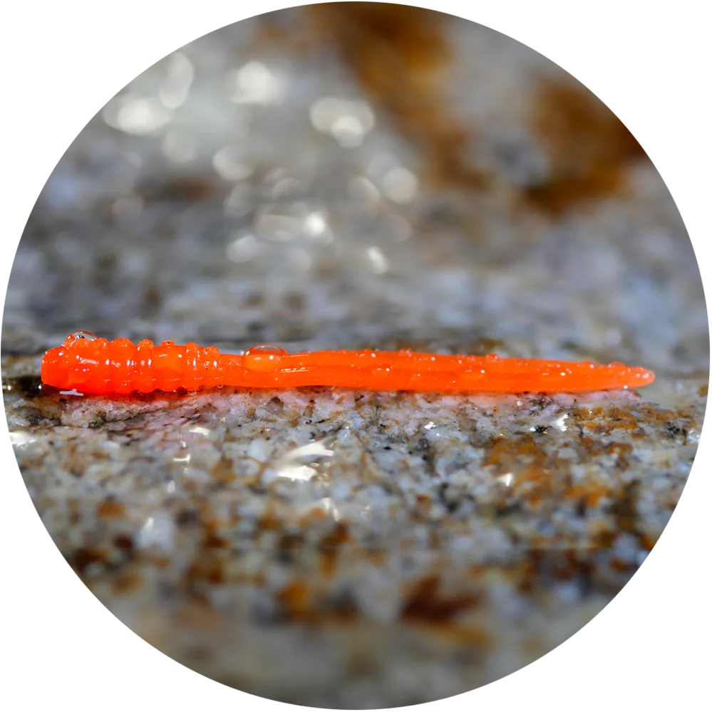 Redbass gumová nástraha micro tail signal orange uv color - xs 35 mm