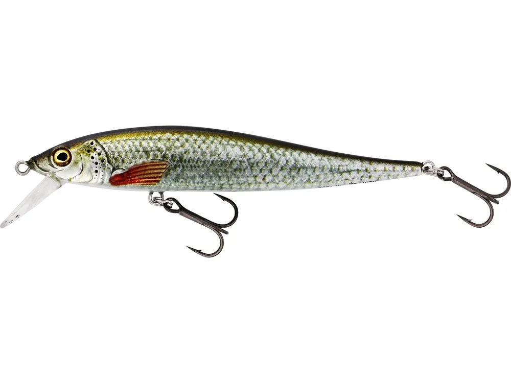 Westin Wobler Jerkbite SR Jerkbait Real Roach - 9cm 8g