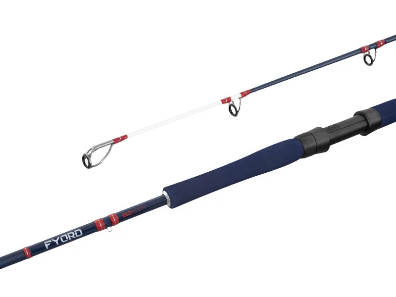 Delphin prut fyord big boat 2,2 m 300-400 g