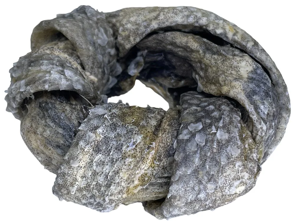 LK Baits Pet Luxusní věneček z kůže Tresky 20g – LK Baits PETs