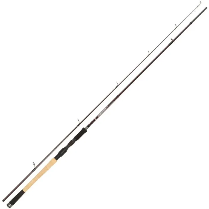 Abu Garcia Prut Tormentor Spinning 2,44m 20-60g 2-díl