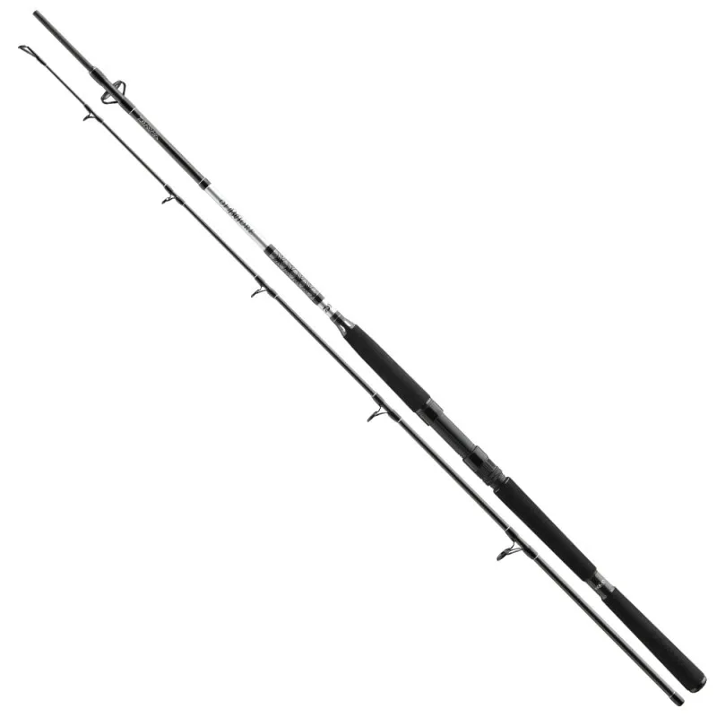 Daiwa Prut BG Offshore Pilk 2,7m 50-165g 2-díl