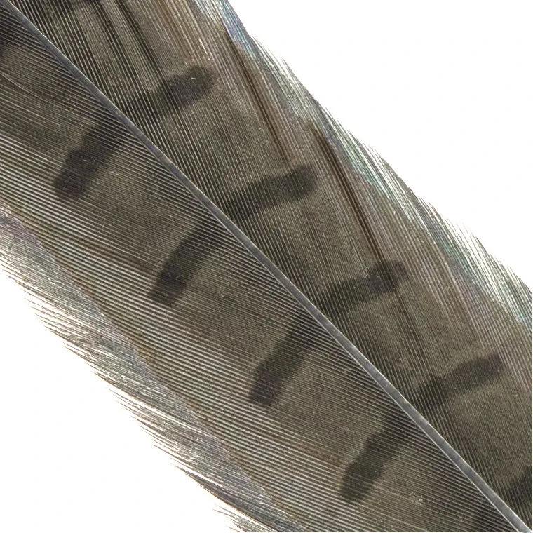 Hends Ocasní Pero z Bažanta Pheasant Tail Henon Grey
