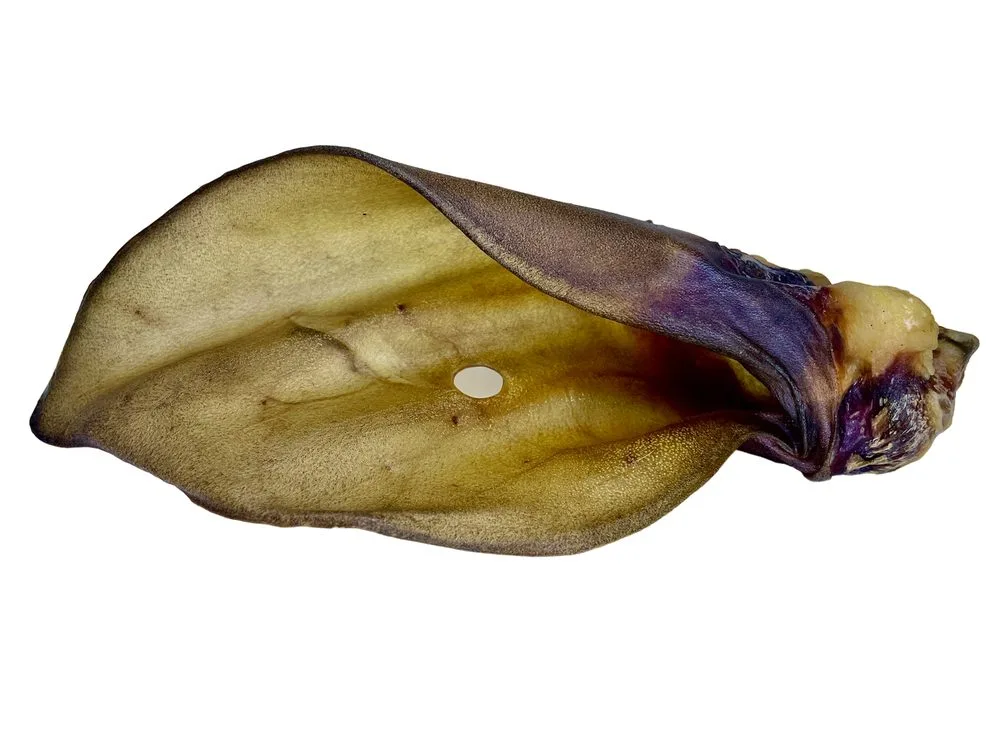 LK Baits Pet Sušené hovězí ucho se záuškem 1ks – LK Baits PETs