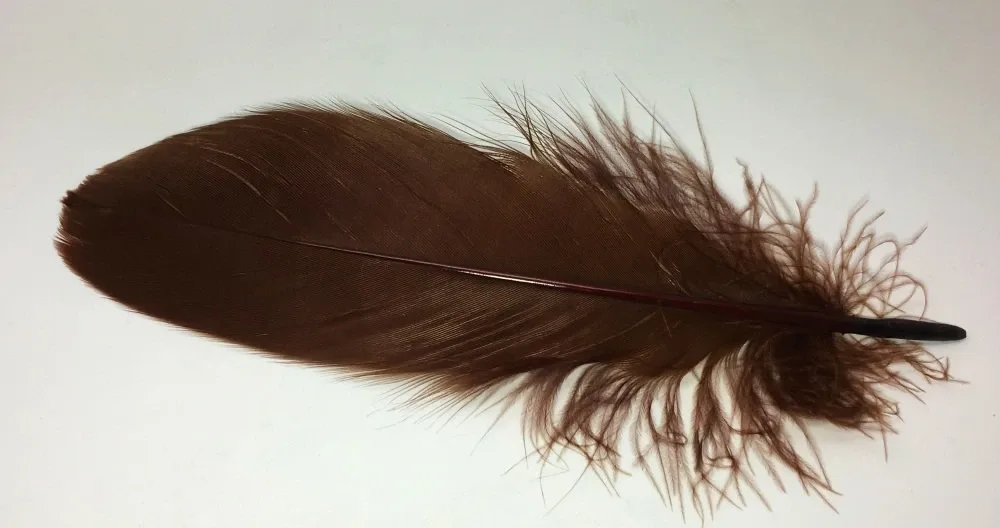 Veniard Husí Peří Goose Shoulder Stiff Dark Brown 4ks