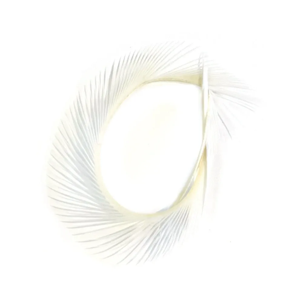 Veniard Husí Biots Goose Biot Strips Bleached White