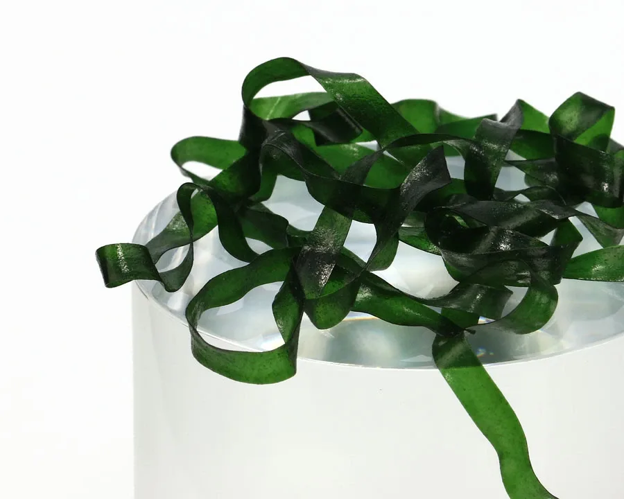 Sybai Body Stretch Dark Green 1m Průměr: 6mm