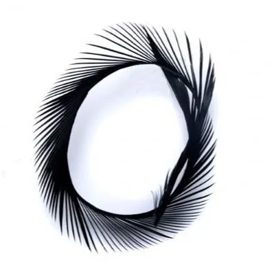 Veniard Husí Biots Goose Biot Strips Black