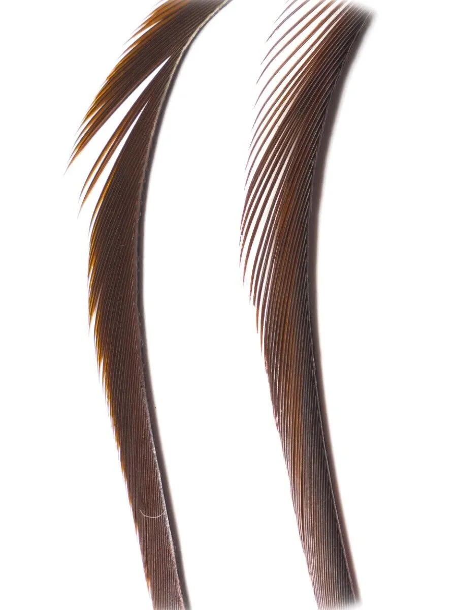 Veniard Husí Biots Goose Biot Strips Dark Brown