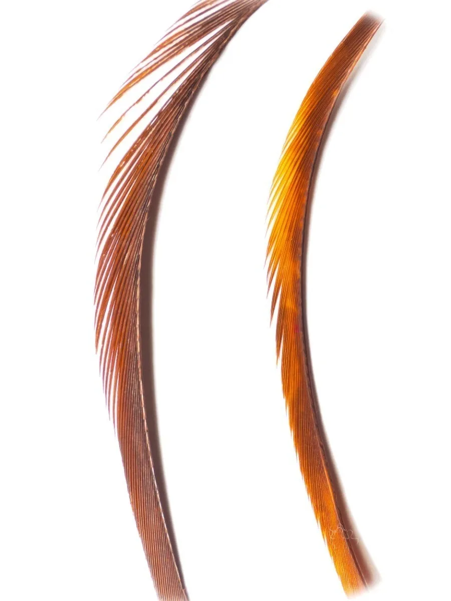 Veniard Husí Biots Goose Biot Strips Fiery Brown
