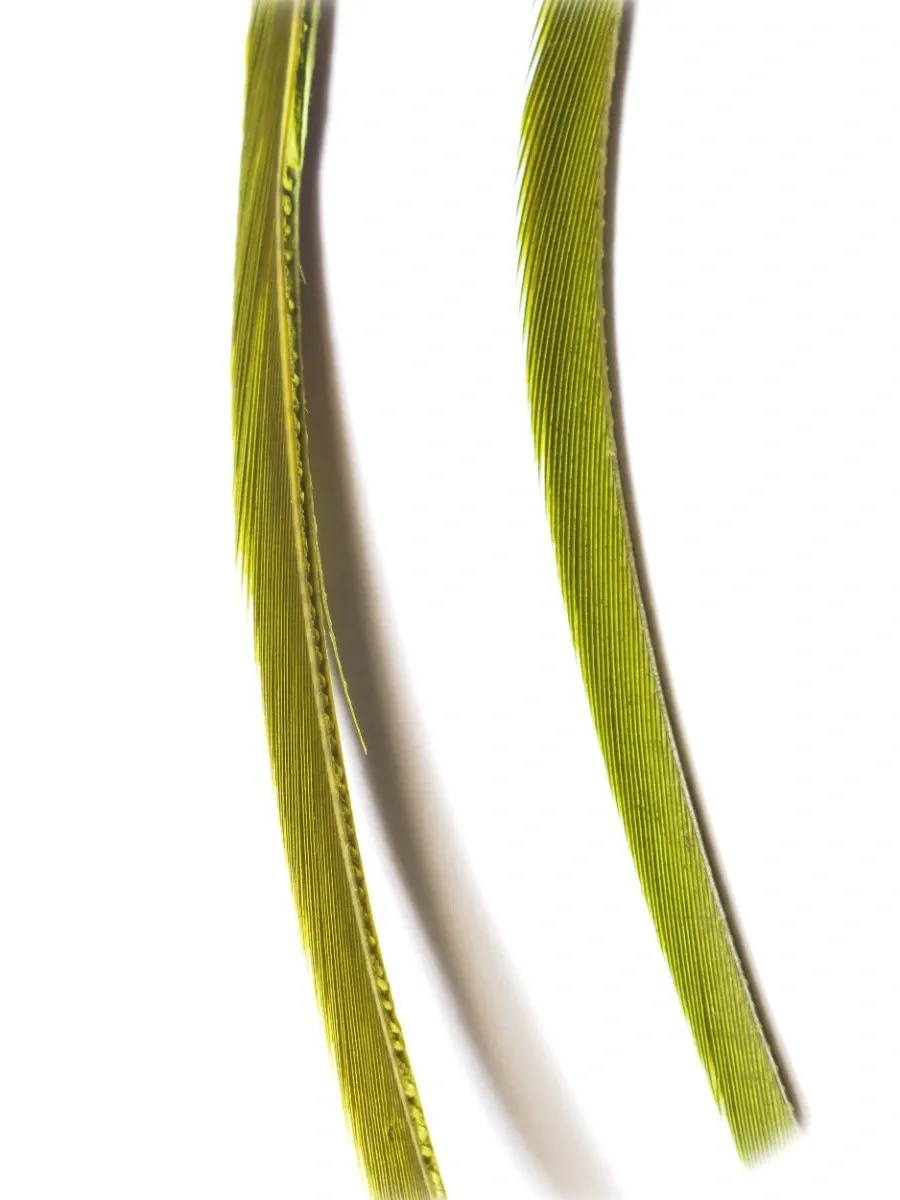 Veniard Husí Biots Goose Biot Strips Medium Olive