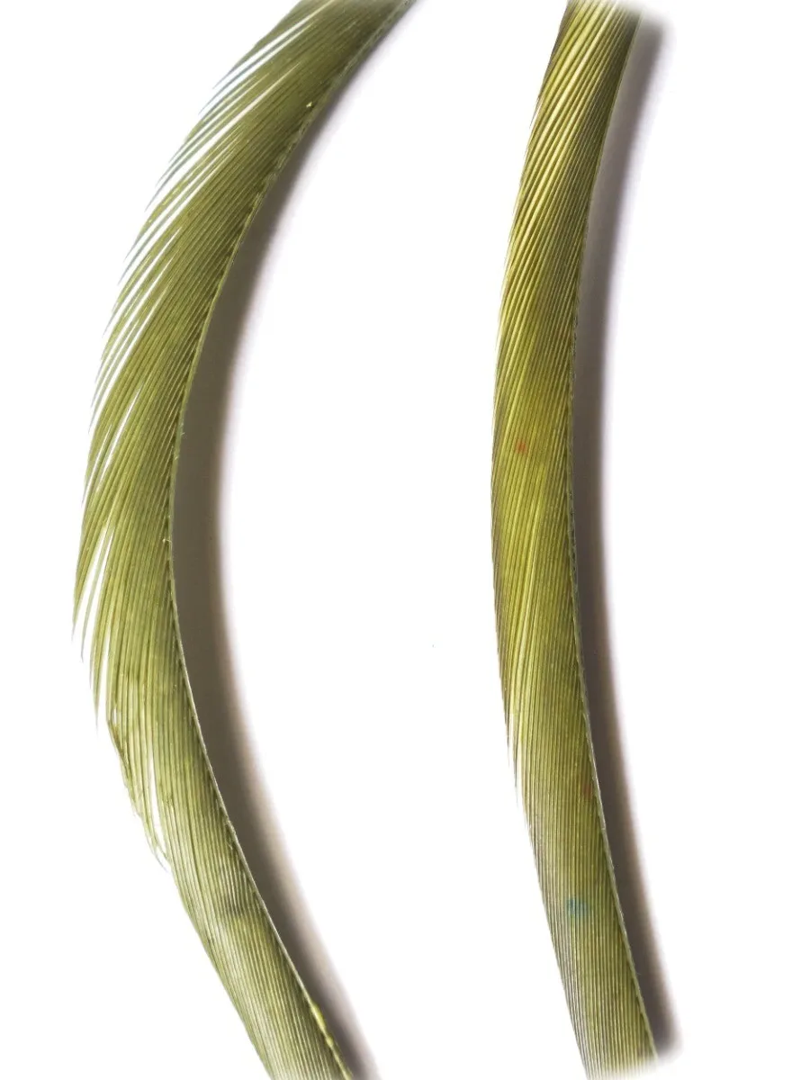 Veniard Husí Biots Goose Biot Strips Olive Dun