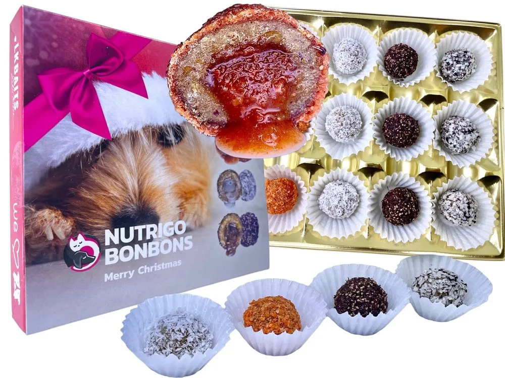 LK Baits Pet Vánoční bonboniéra Nutrigo Bonbons Merry Christmas pro menší psy – LK Baits PETs
