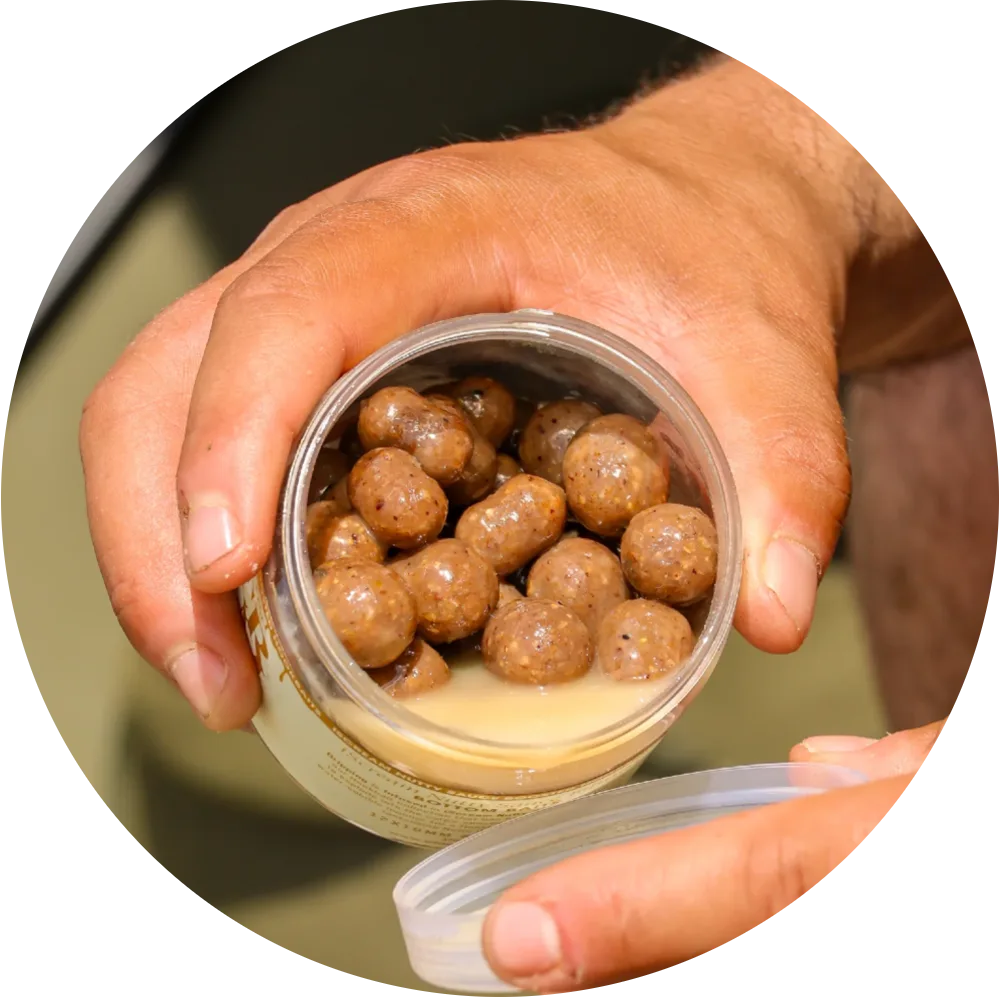 One more cast dumbells nut sauce infused hardened dumbells iscream 150 g 12x16 mm & 14x18 mm