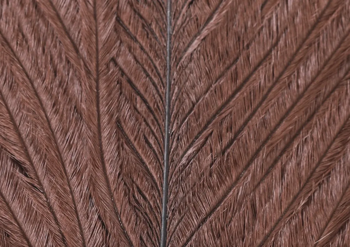 Veniard Pštrosí Peří Ostrich Herl Dark Brown