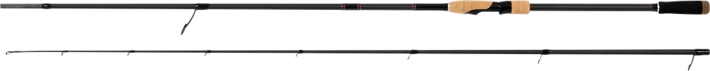 Zebco prut demonic spin h 2,7 m 100 g 2-díl