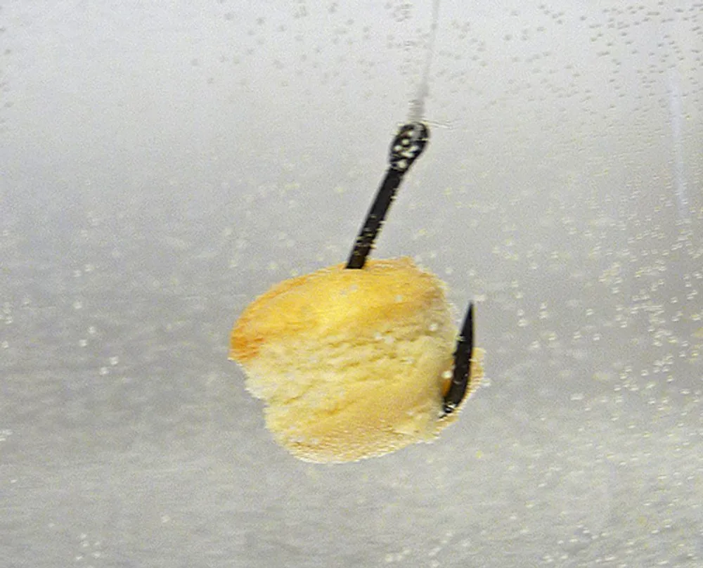 Chytil Pařený rohlík 10mm 50g - Med