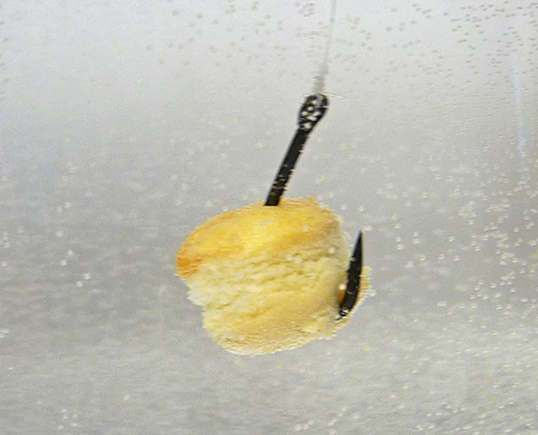 Chytil Pařený rohlík 10mm 50g - Vanilka