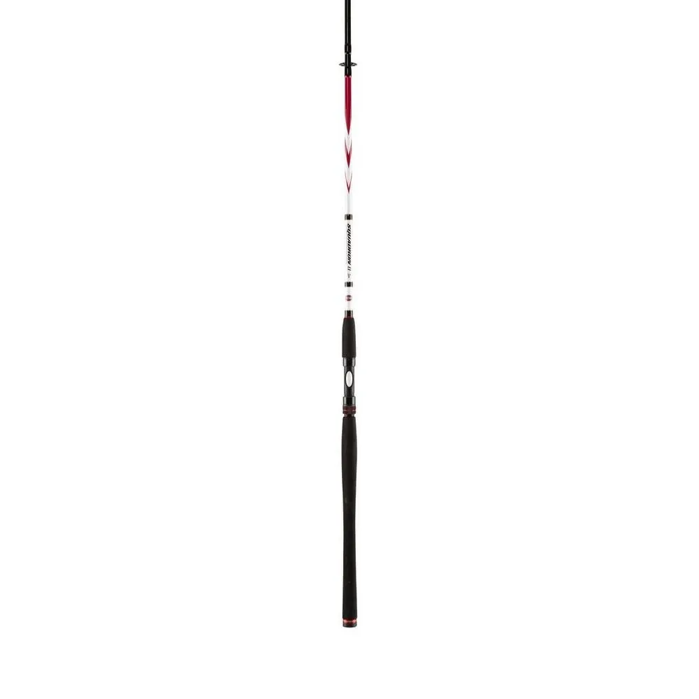 Penn Prut Squadron II SW Spin 2,4m 50-100g 2-díl