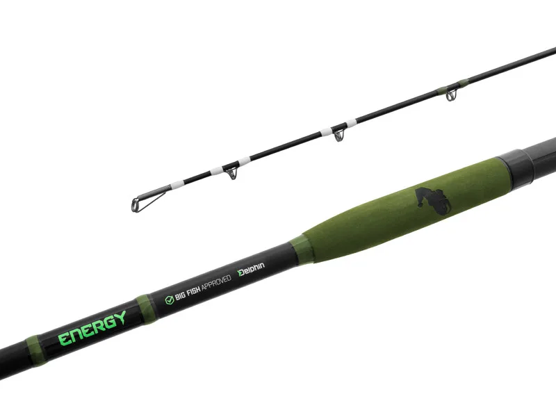 Delphin prut energy catfish 2,8 m 250-500 g