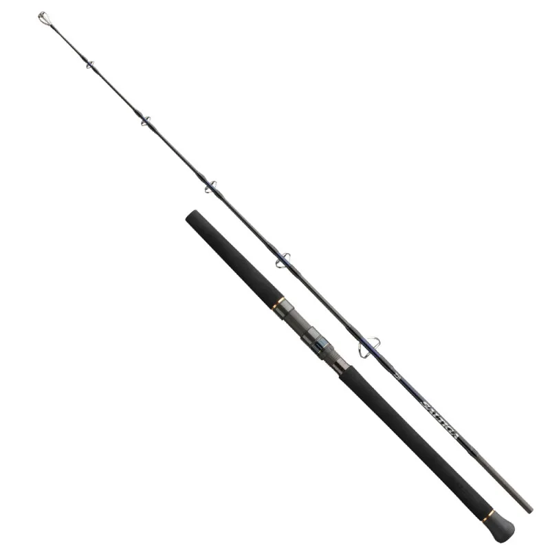 Daiwa prut saltiga jigging 1,7 m 150-300 g