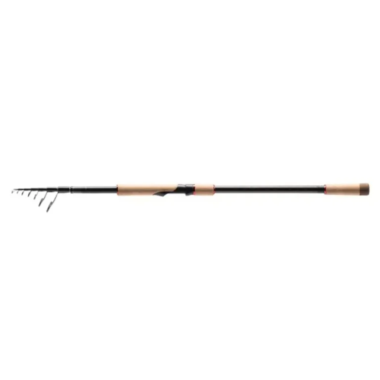 Shimano Prut Catana GX Spinning Tele 2,70m 10-30g