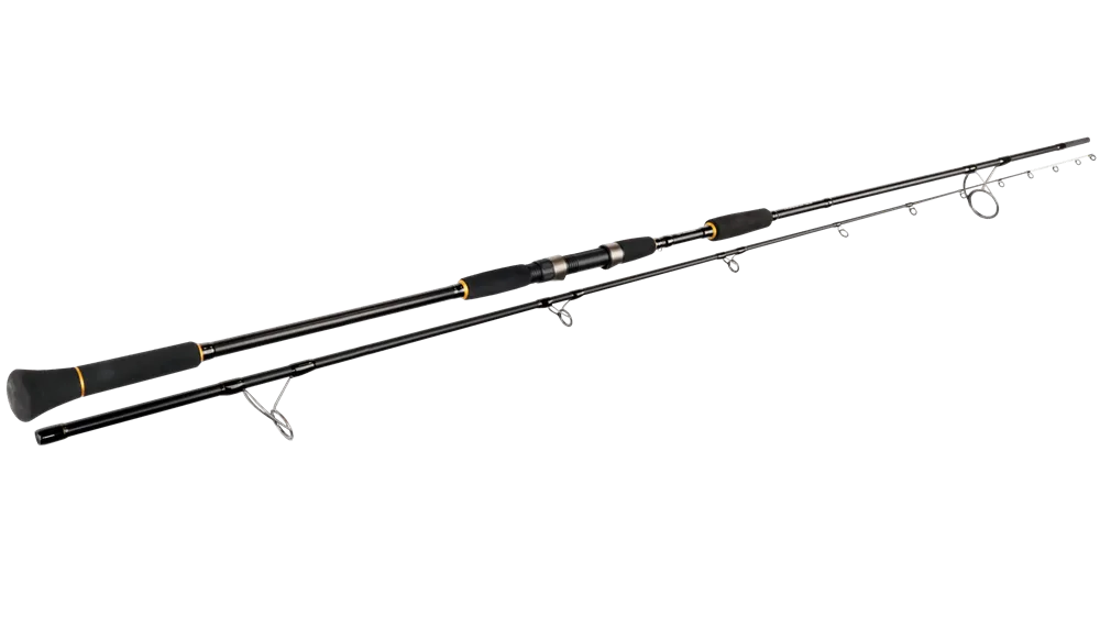 Sportex prut na jesetery sturgeon 3,3 m 3,5 lb 2-díl