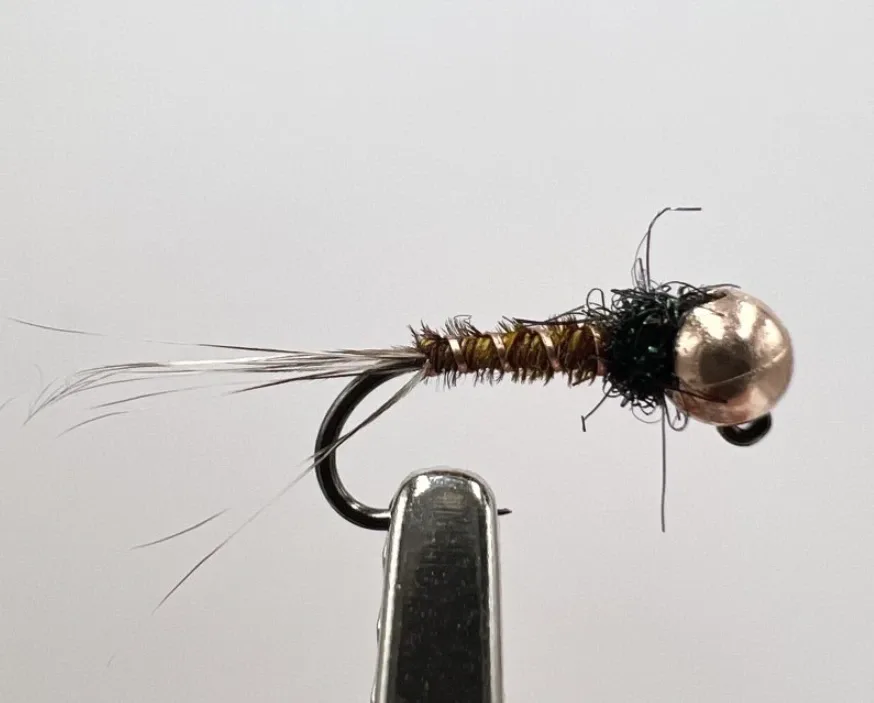 AzFishing AZ-Fishing Nymfa s Tungstenovou Hlavou Bažant Velikost háčku: #18, Průměr Tugnstenu: 2,8mm