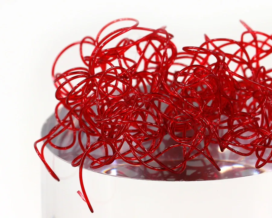 Sybai Wiggly Worms Bloodworm