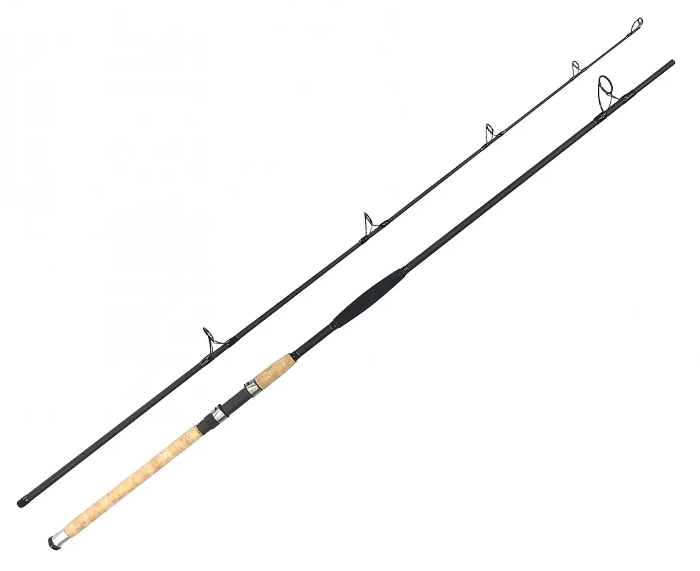 Zfish Prut Catfish Morga 2,7m 100-400g 2-díl