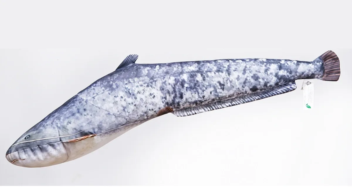 Gaby Polštář Sumec Malý - 62 cm