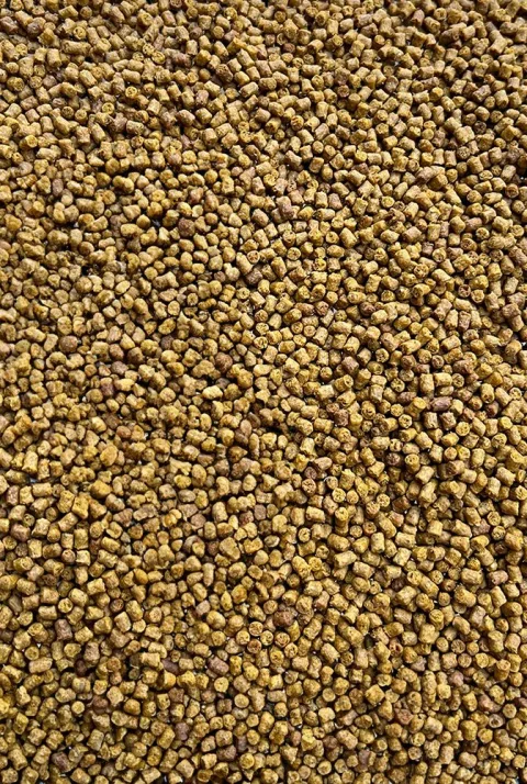 FeederBait Pelety Method Pellet 2mm 800g - Epidemia - CSL