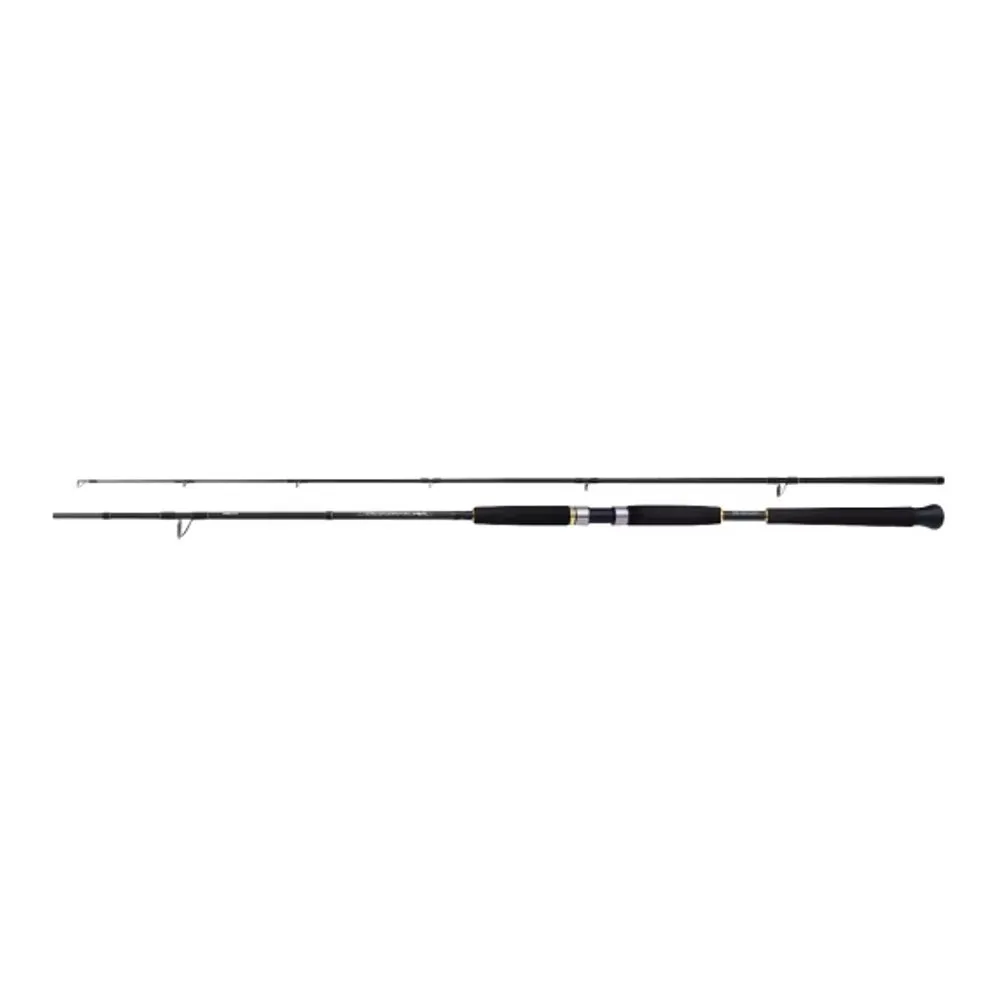 Shimano Prut Beastmaster AX Pilk 2,40m 150-300g