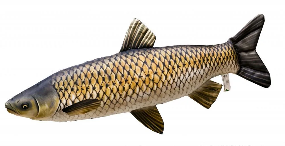 Gaby Polštář Amur Giant 105cm