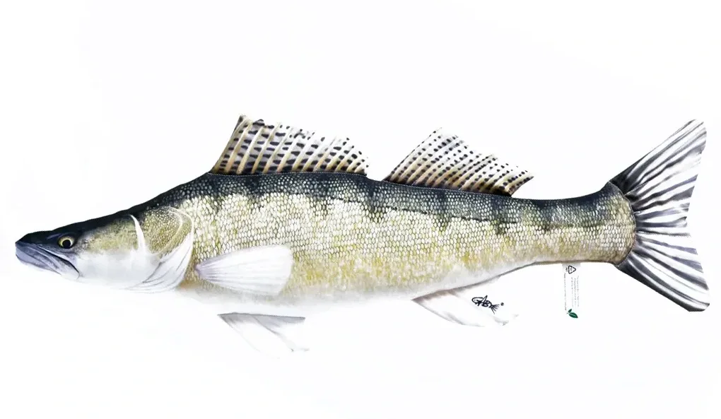 Gaby Polštář Candát Obecný - 77 cm