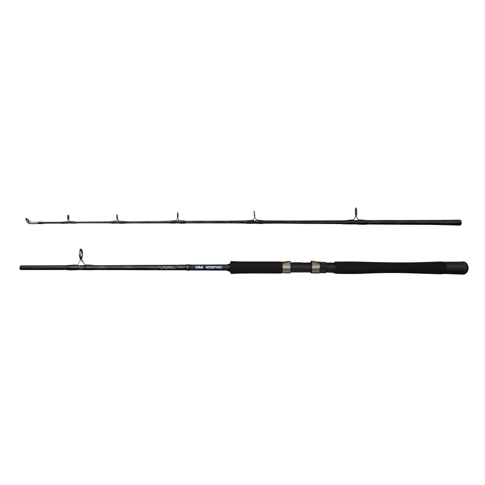 Dam prut iconic2 sw boat 2,1 m 100-250 g 2-díl