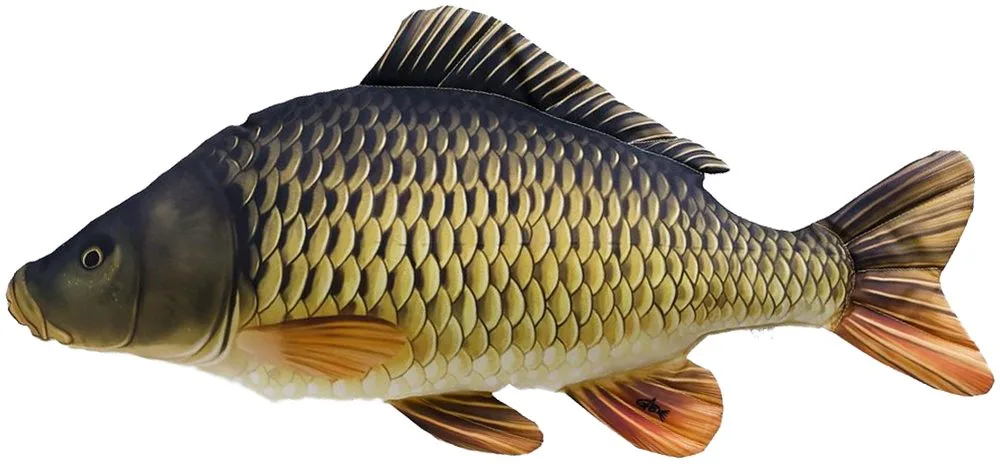 Gaby Polštář Kapr Giant šupináč 100cm