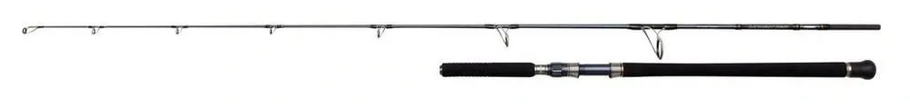 Penn Prut Battalion Solid Offshore 2,25m 20-130g 1+1-díl