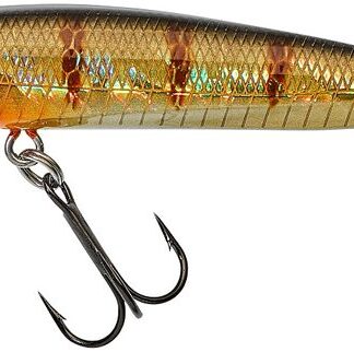 Gunki Wobler Gamera Slim SP HL Perch - 9cm / 7g