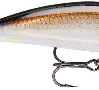 Rapala Wobler X-Rap Count Down AYU - 7cm 8g