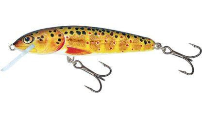 Salmo Wobler Minnow Floating 5cm - Trout