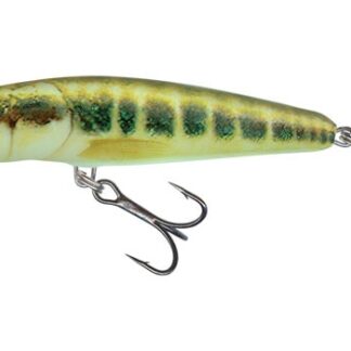 Salmo Wobler Minnow Floating 6cm - Minnow