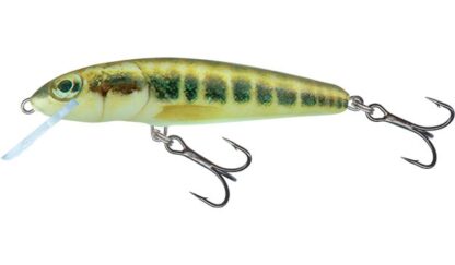 Salmo Wobler Minnow Floating 6cm - Minnow